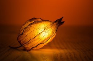 colore luce LED