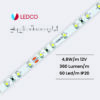 STRIP LED PERFORMANTE SL24 24V LEDCO