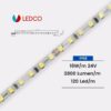 STRIP LED STRISCIA LED PERFORMANTE SL125 IP68 CRI90 LEDCO