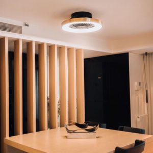 Ventilatore da soffitto Tibet