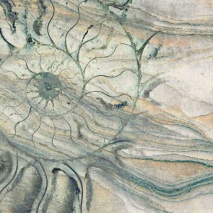 Carta da parati Fossil A luceledcom