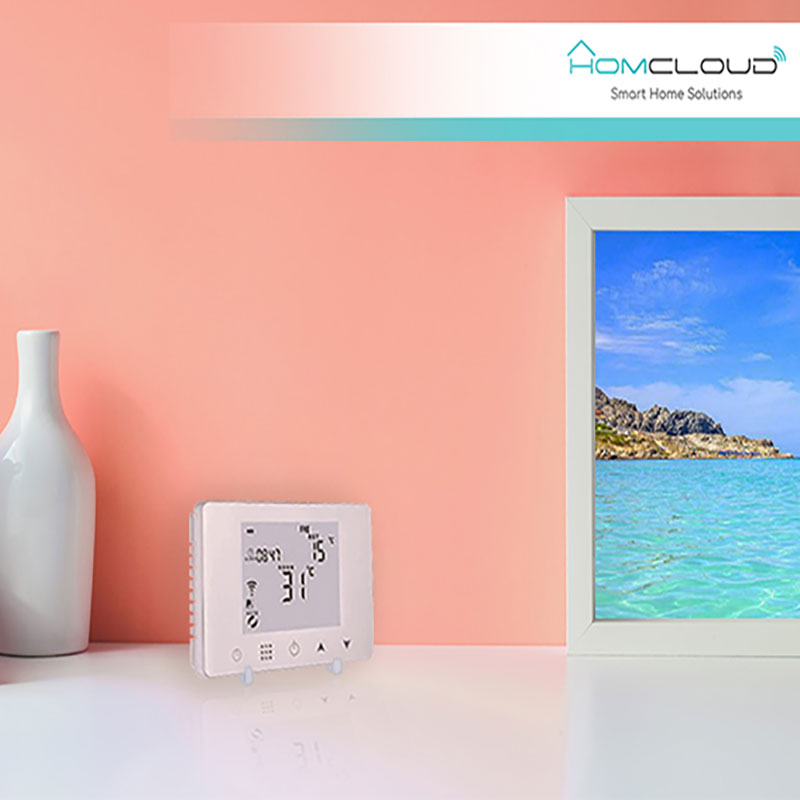 Homcloud Cronotermostato Digitale Wi-Fi con Ricevitore RF