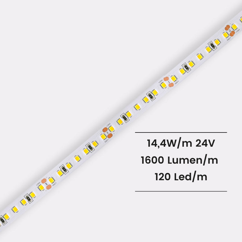 Striscia led monocolore 2835 14,4 W/M 24V 120 Led/M IP20 – De Sanctis Light  & Design