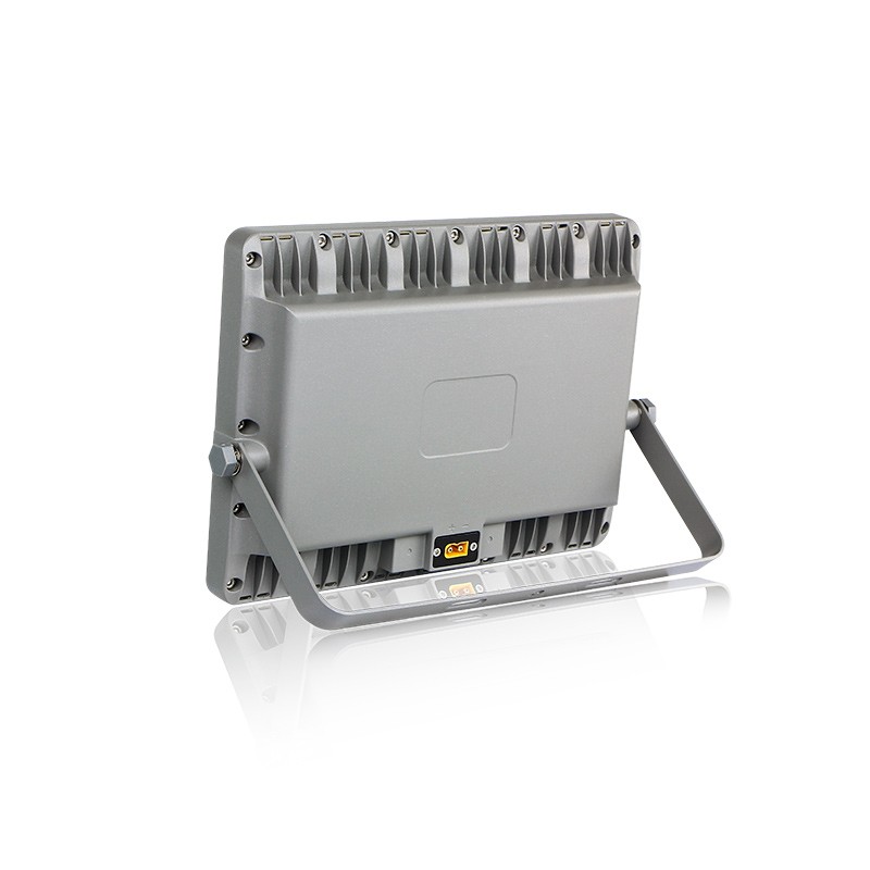 Ferrario - Vernice Mecca Incolore Per Doratura - Novara Belle Arti